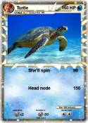 Turtle