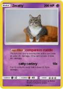 Zecatty