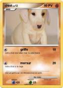 chiot