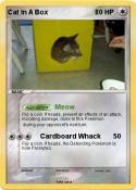 Cat In A Box