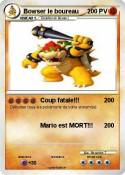 Bowser le boure