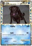 dog