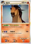 Spirit