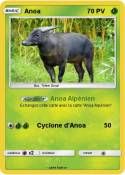 Anoa