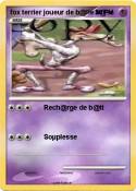 fox terrier jou