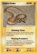 Gopher Snake
