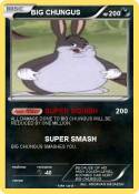 BIG CHUNGUS
