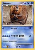 Castor