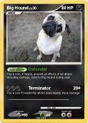 Big Hound