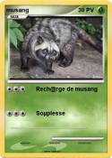musang