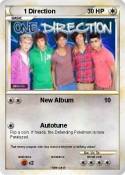 1 Direction