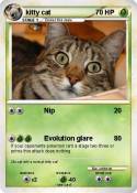 kitty cat