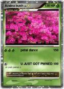 Azalea bush