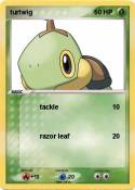 turtwig