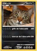 chat