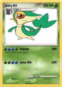 snivy EX