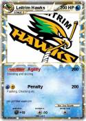 Leitrim Hawks