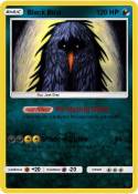 Black Bird