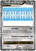 Plasma Membrane