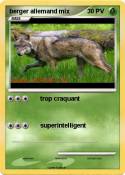 berger allemand