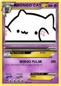 BONGO CAT