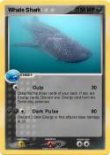 Whale Shark