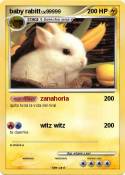 baby rabitt