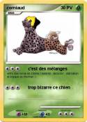 corniaud
