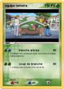 equipe torterra