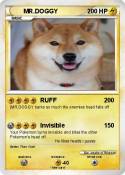 MR.DOGGY