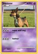 loup-boxer