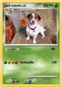 jack russel