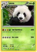 panda