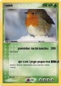 rudek
