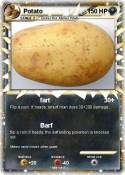 Potato
