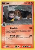 Boindog