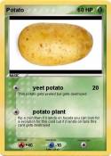Potato