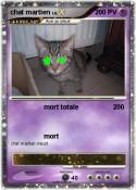 chat martien