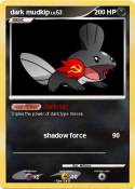 dark mudkip