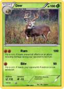 Deer