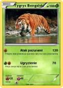 Tygrys Bengalsk