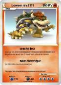 bowser niv.1111