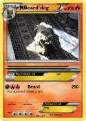 Beard dog