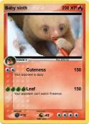 Baby sloth