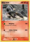 Ninja sloth