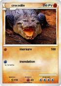 crocodile