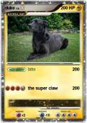 duke