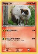 Angry Cat