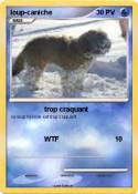 loup-caniche