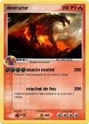 destructor